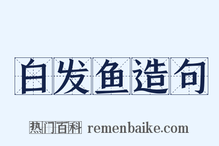 白发鱼造句是什么意思的图片